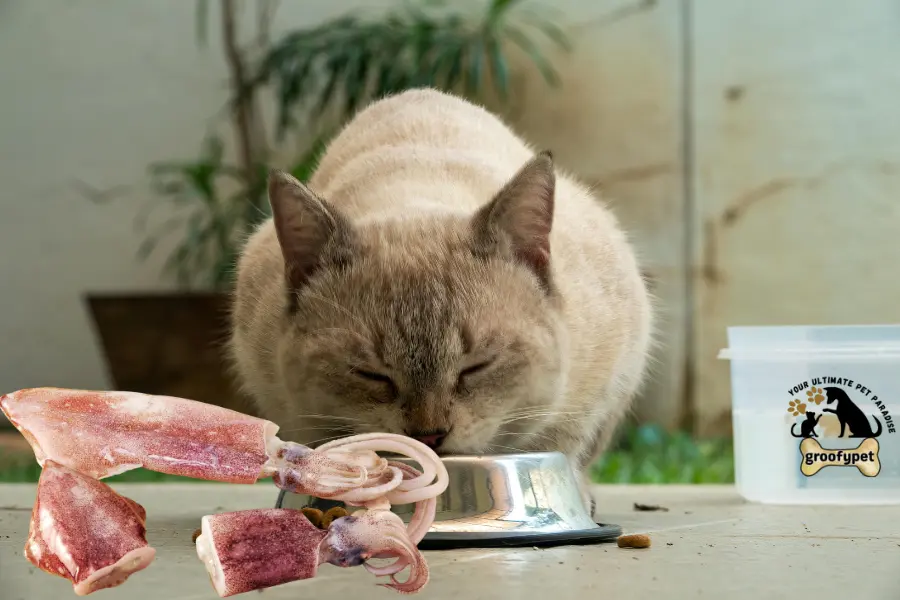 can cats eat raw squid