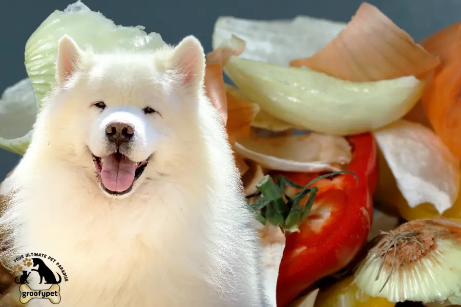 low residue dog food