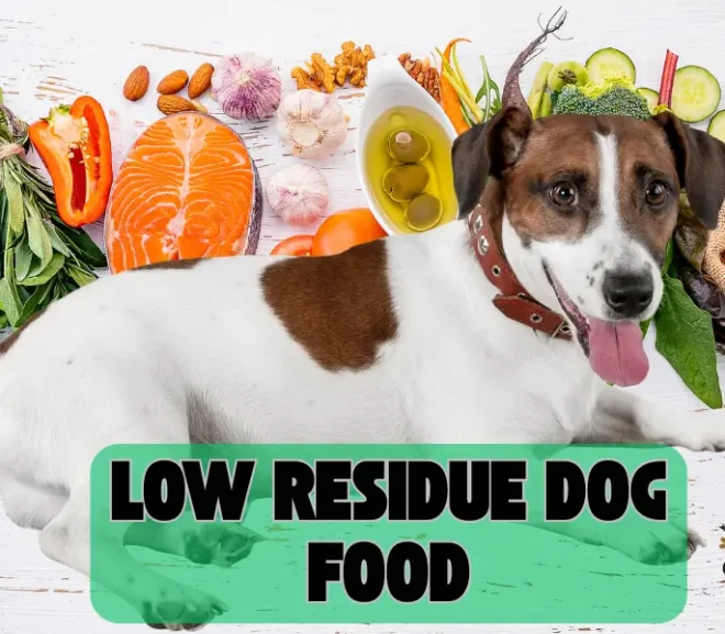 Low Residue Dog Food: Maximize Your Dog Health with the Right Diet!