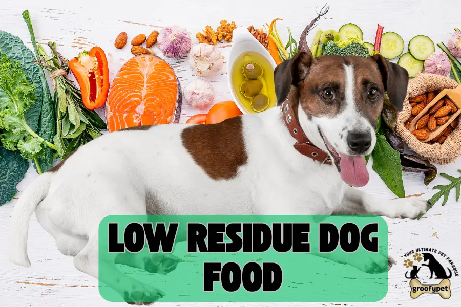 low residue dog food