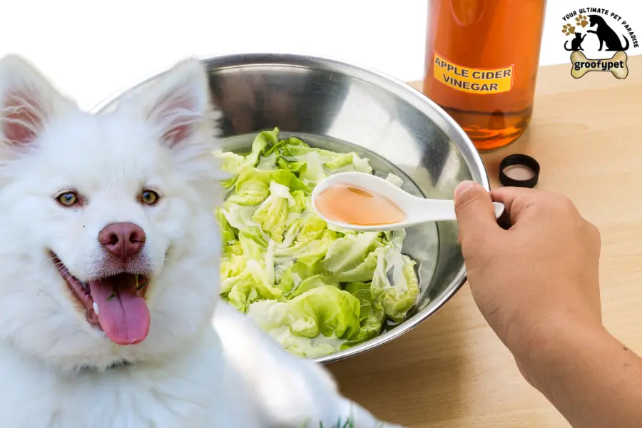 low residue dog food