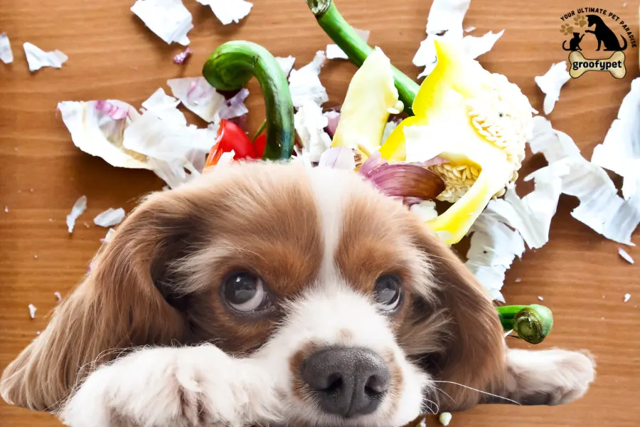 low residue dog food