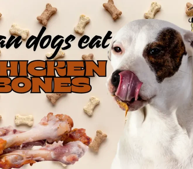 Can Dogs Eat Chicken Bones? The Real Truth About Dogs and Chicken Bones!