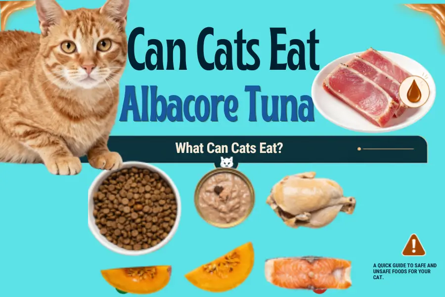 Can Cats Eat Albacore Tuna