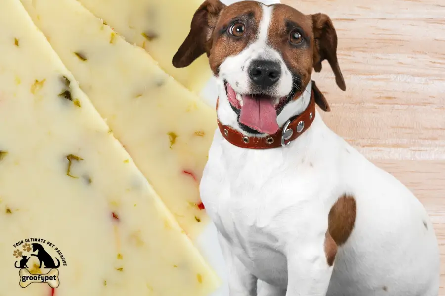 can dogs eat pepper jack cheese