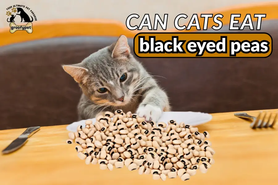 can cats eat black eyed peas