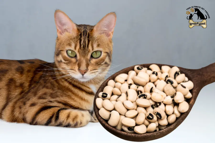 can cats eat black eyed peas