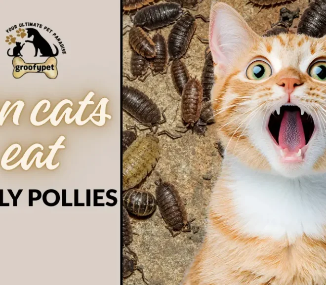Can Cats Eat Rolly Pollies? Protect Your Cat From This Creepy Crawl Risk!