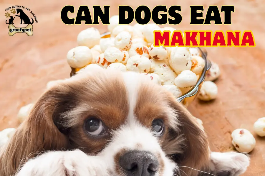 can dogs eat makhana
