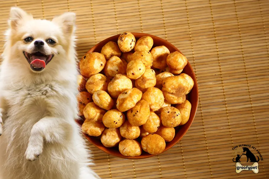 can dogs eat makhana