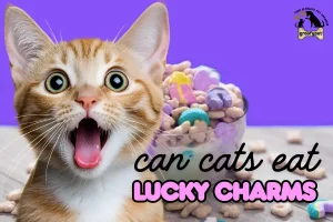 can cats eat lucky charms