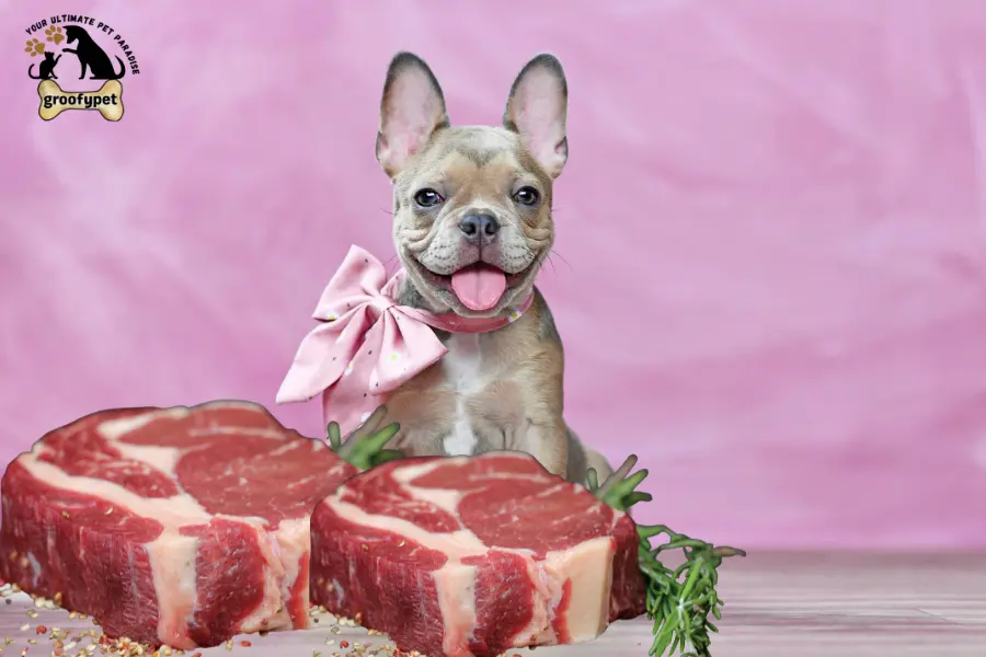 can dogs eat raw ground beef
