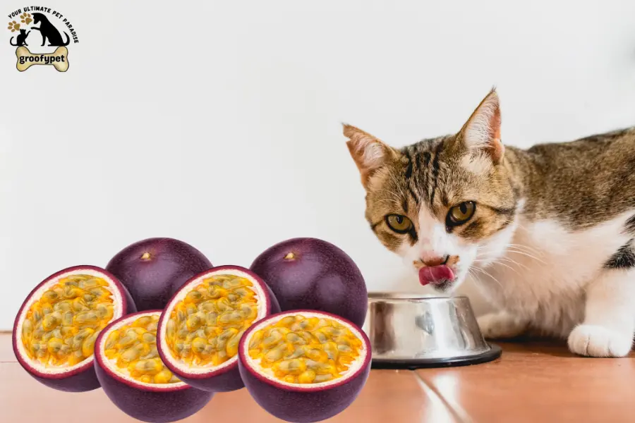 can cats eat passion fruit