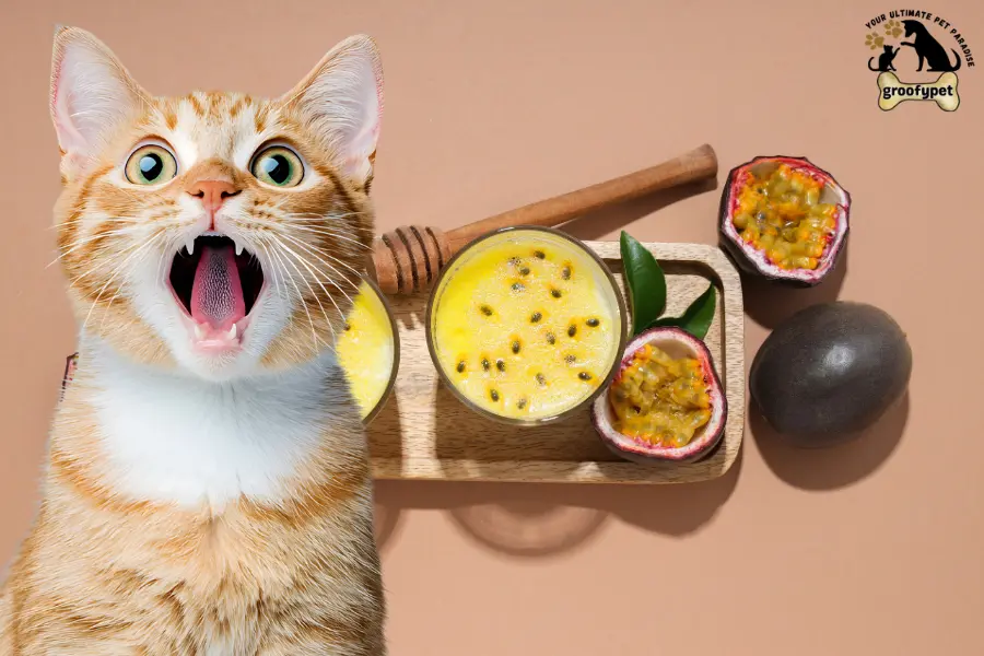 can cats eat passion fruit