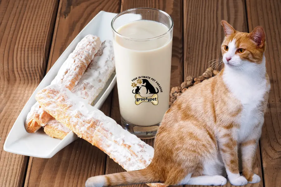 can cats drink horchata