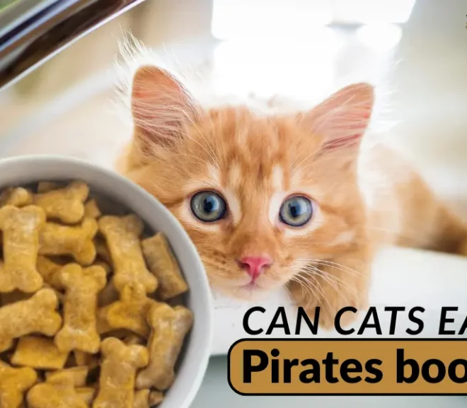 Can Cats Eat Pirates Booty? Protect Your Kitty From This Sneaky Snack!