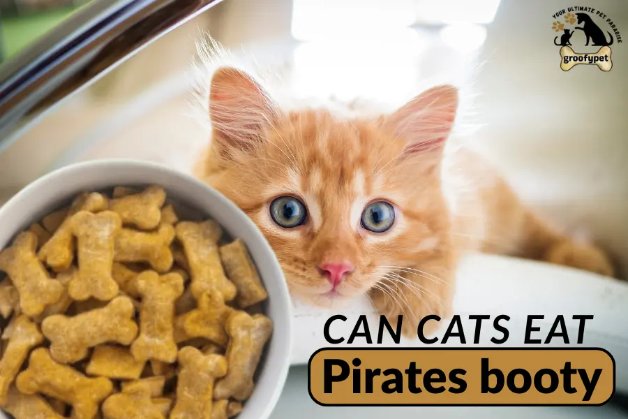 can cats eat pirates booty