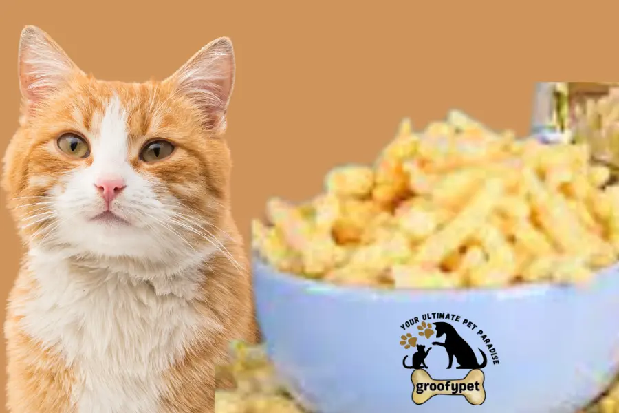 can cats eat pirates booty