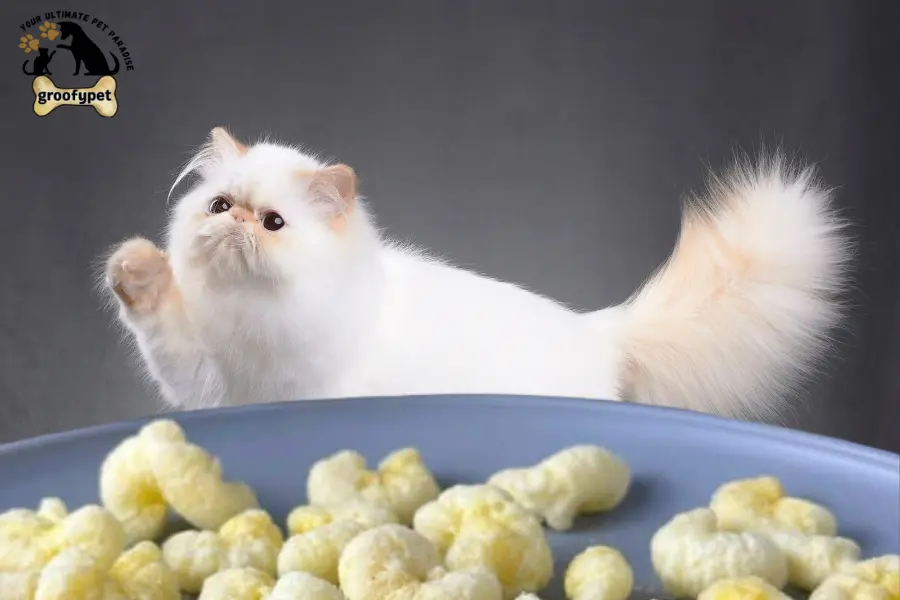 can cats eat pirates booty