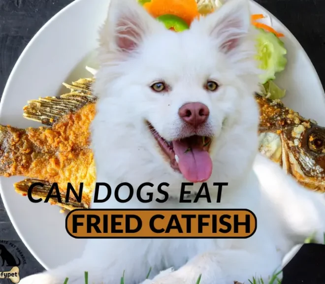 Can Dogs Eat Fried Catfish? Don’t Make This Costly Mistake With Your Pet!