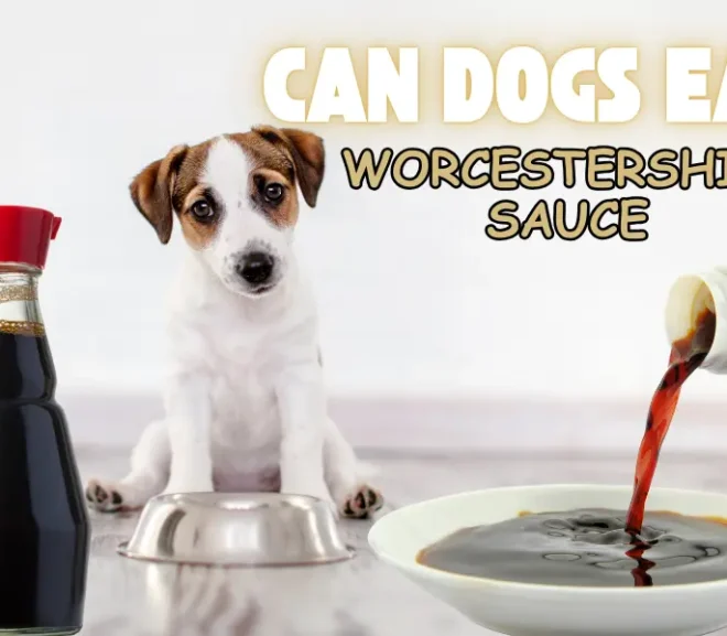 Can Dogs Eat Worcestershire Sauce?The Scary Truth for Dog Owners!