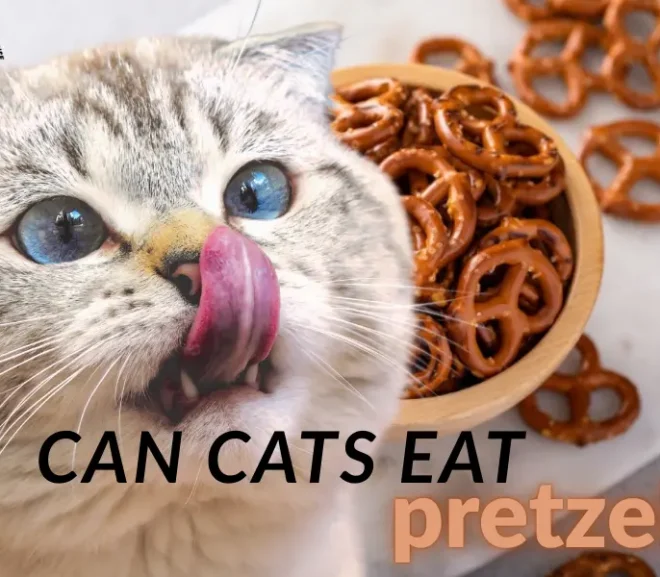 Can Cats Eat Pretzels? Vet-Verified Nutrition Facts and Dangers!