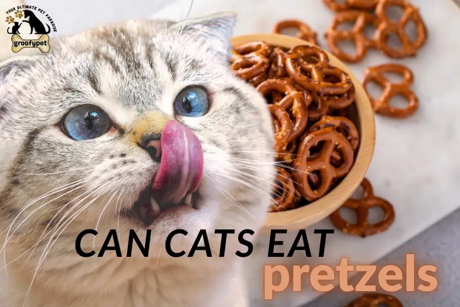 can cats eat pretzels