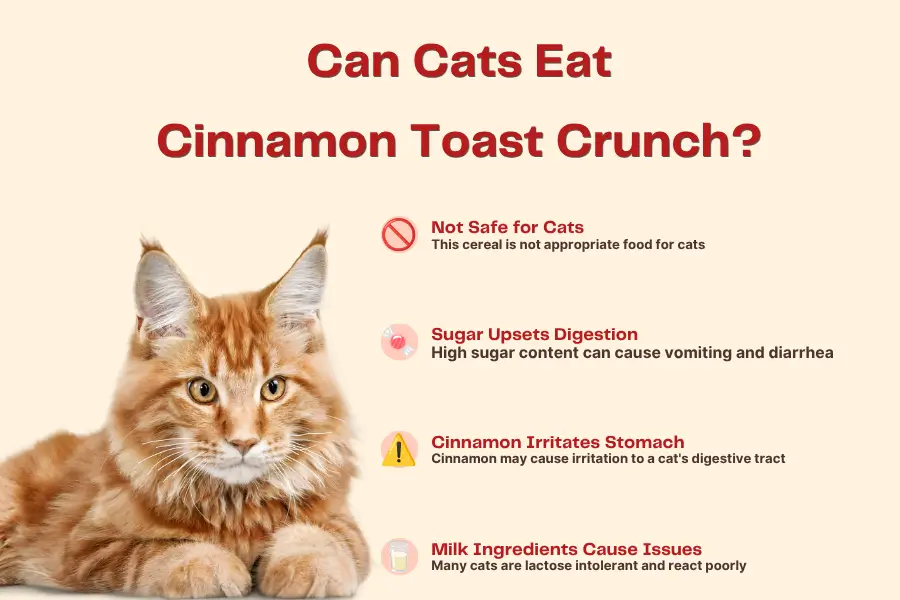 Can Cats Eat Cinnamon Toast Crunch 