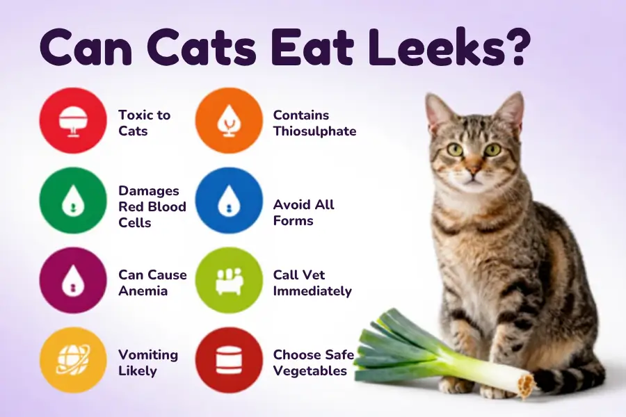 Can Cats Eat Leeks 