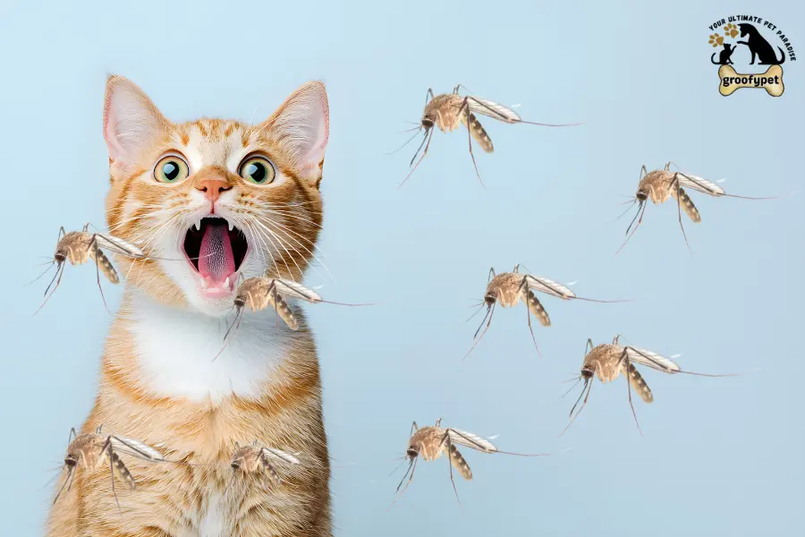 can cats eat mosquitoes