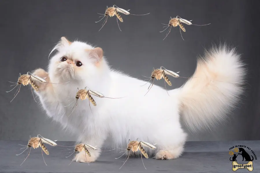 can cats eat mosquitoes