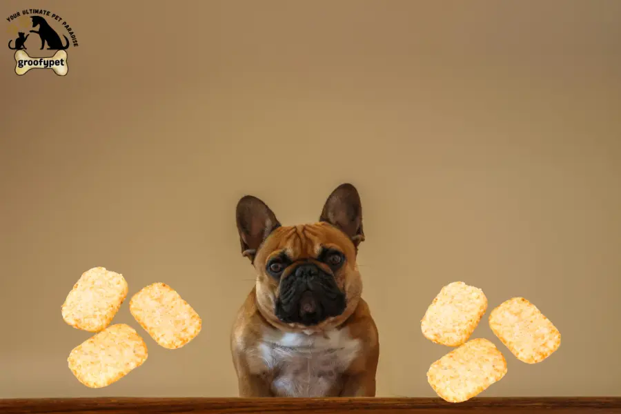 can dogs eat hash browns