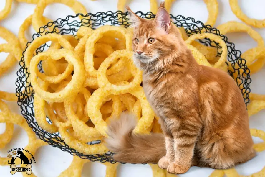 can cats eat funyans