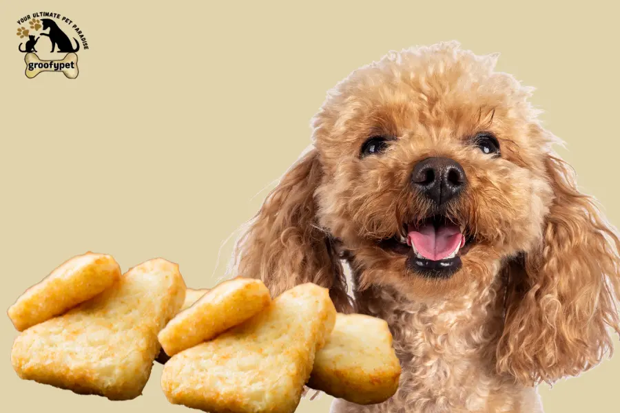 can dogs eat hash browns
