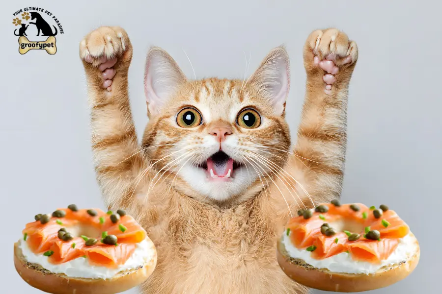 can cats eat lox