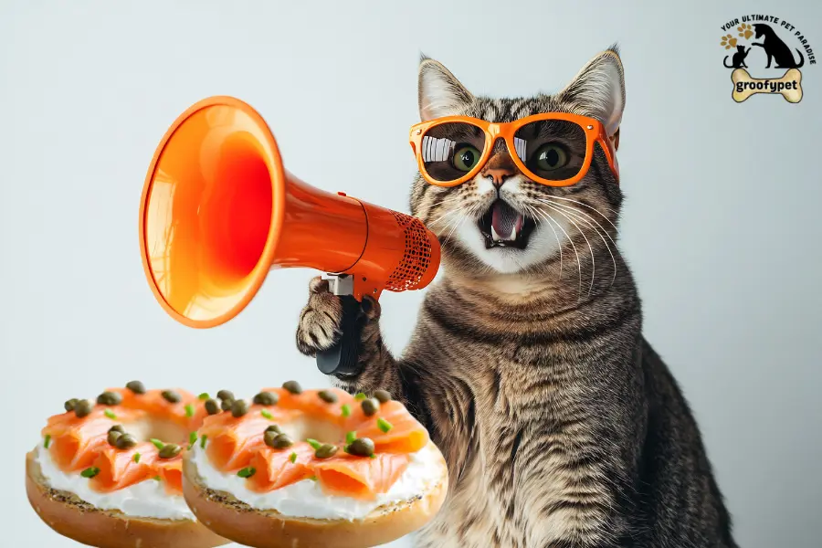 can cats eat lox
