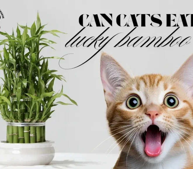Can Cats Eat Lucky Bamboo? Protect Your Pet with This Must-Read Guide!