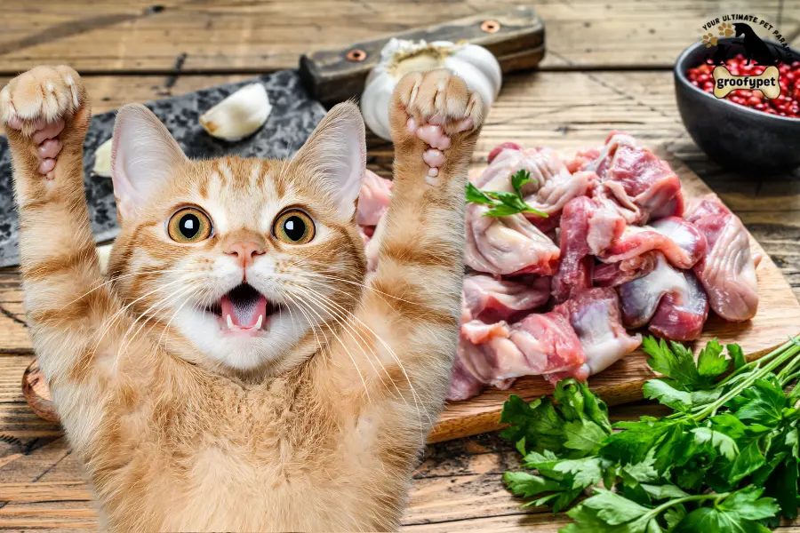 can cats eat giblets