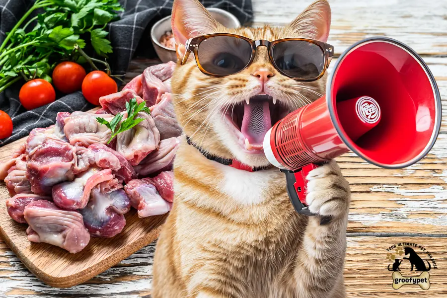 can cats eat giblets