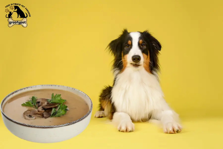can dogs eat cream of mushroom soup