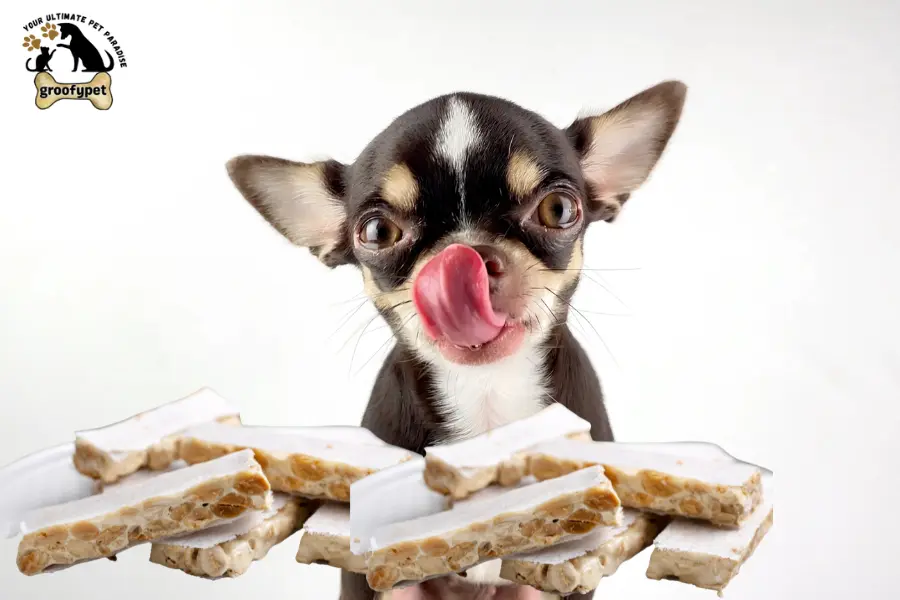 can dogs eat nougat