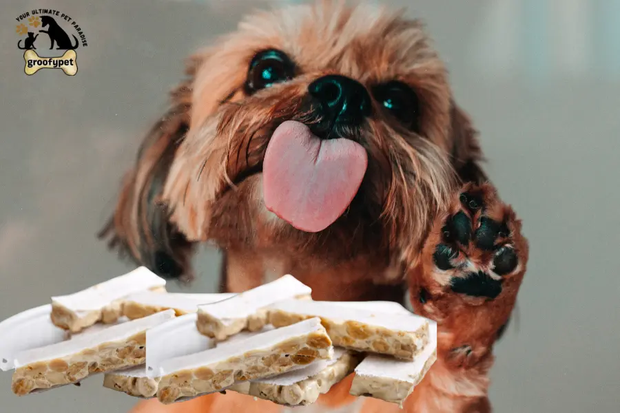 can dogs eat nougat