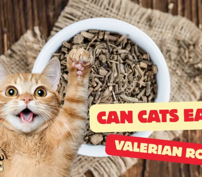Can Cats Eat Valerian Root Safely? Discover the Hidden Benefits and Risks!
