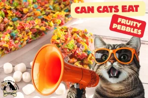 can cats eat fruity pebbles