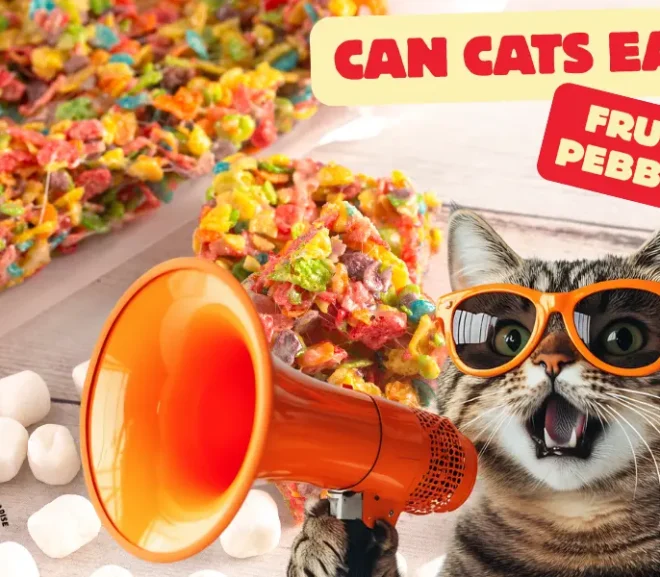 Can Cats Eat Fruity Pebbles or Will It Upset Their Stomach? Find Out Now!