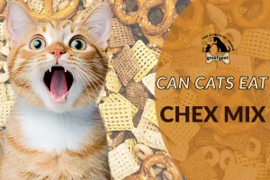 can cats eat chex mix