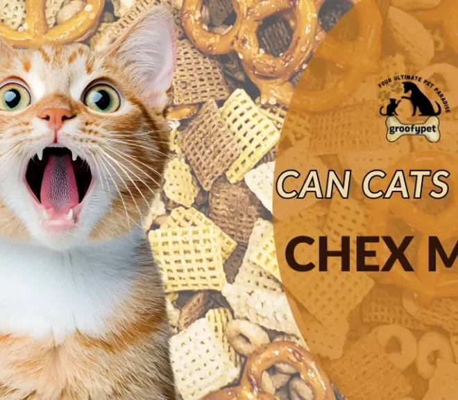 Can Cats Eat Chex Mix or Will It Upset Their Stomach?