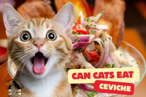 can cats eat ceviche