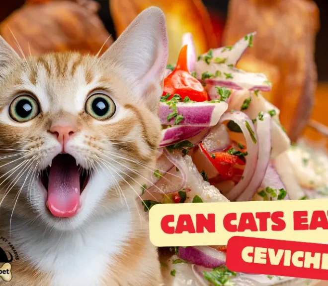 Can Cats Eat Ceviche? The Honest Guide to Keeping Cats Safe!