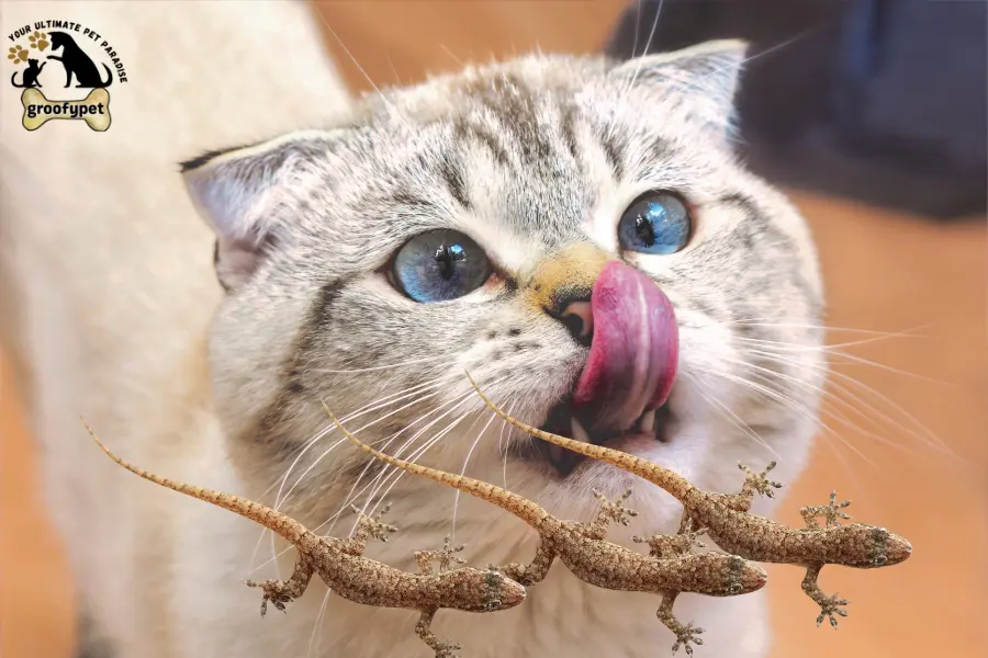 can cats eat geckos